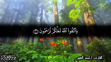 إنما المؤمنون أخوة   الآيات 10 12 من سورة الحجرات  للشيخ أحمد النفيس