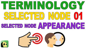 Terminology 05 - Selected Node 01 - Selected Node Appearance