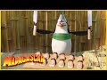 DreamWorks Madagascar en Español | Los Pingüinos Compilación | Dibujos Animados para Niños