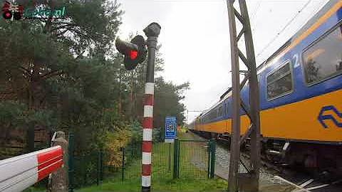 Spoorwegovergang Wezep ??4K?? // Dutch railroad crossing