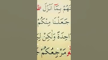 سورة المائدة الأية 48 القارئ سعد الغامدي
