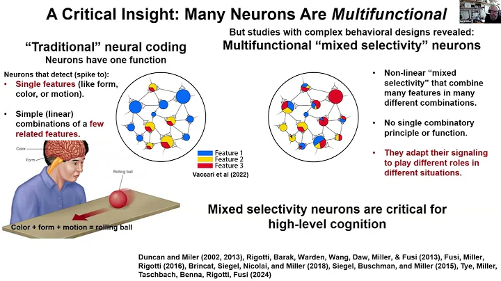 "Cognition is emergent" by Earl Miller