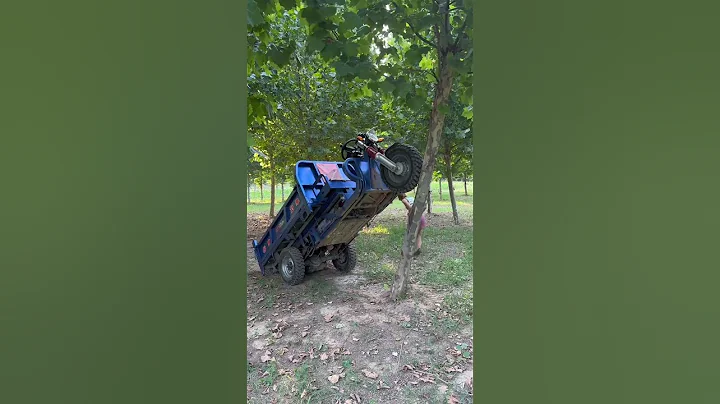 Heavy-duty three-wheel custom-made manufacturer Jia #support agriculture, rural areas and farmers - DayDayNews