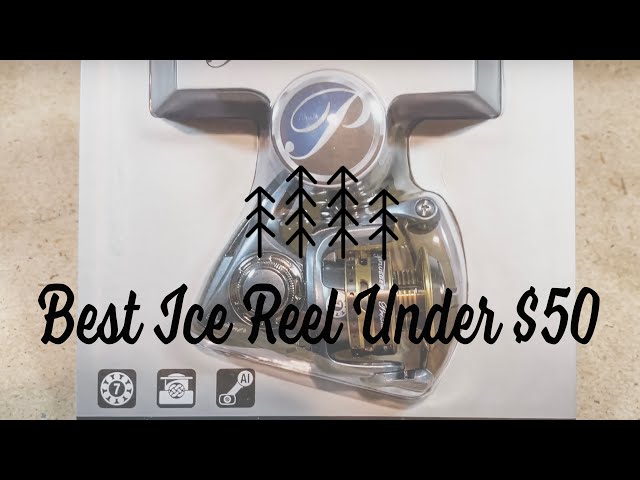 Is the Pflueger President a good ice fishing reel? Looking for a trout/salmon  reel for cold- no hut conditions looking to run 6 or maybe 8 lb mono with a  M Fenwick