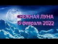 ПОЛНОЛУНИЕ 16 ФЕВРАЛЯ 2022 ГОДА: ДЛЯ ЧЕГО БЛАГОПРИЯТНО, ЧТО МОЖНО И НЕЛЬЗЯ ДЕЛАТЬ.