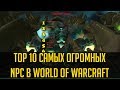 10 САМЫХ ОГРОМНЫХ NPC В WORLD OF WARCRAFT