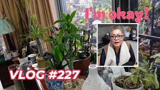I Have so Much Dead Plants & Succulents | VLOG #227 - Growing Succulents with LizK