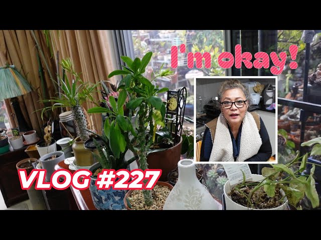 I Have so Much Dead Plants & Succulents | VLOG #227 - Growing Succulents with LizK class=