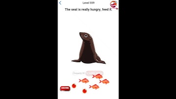 EASY GAME LEVEL 559 The Seal Is Really Hungry, Feed It