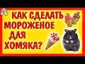 КАК СДЕЛАТЬ МОРОЖЕНОЕ ДЛЯ ХОМЯКА \ КАК КУКИ \  ХОМЯК СТРЕЛКА \ ХОМКИ ЕСТ МОРОЖЕНОЕ \ МОРСКИЕ СВИНКИ