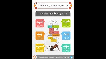 ماذا نتعلم من النملة التي أنذرت قومها؟  في #سورة_النمل (18).