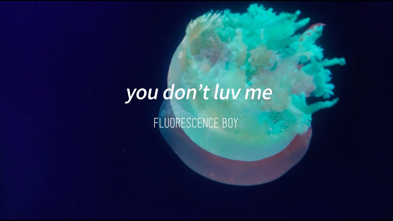 [MV] 형광소년 Fluorescence Boy - you don't luv me