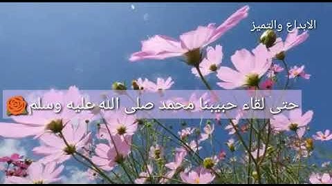 ولنا في كل جمعه ثلاث رحمات صلاه على النبي محمد وسوره الكهف و كنز ينتظرنا قبل المغيب لدعوه مستجابه ❥.