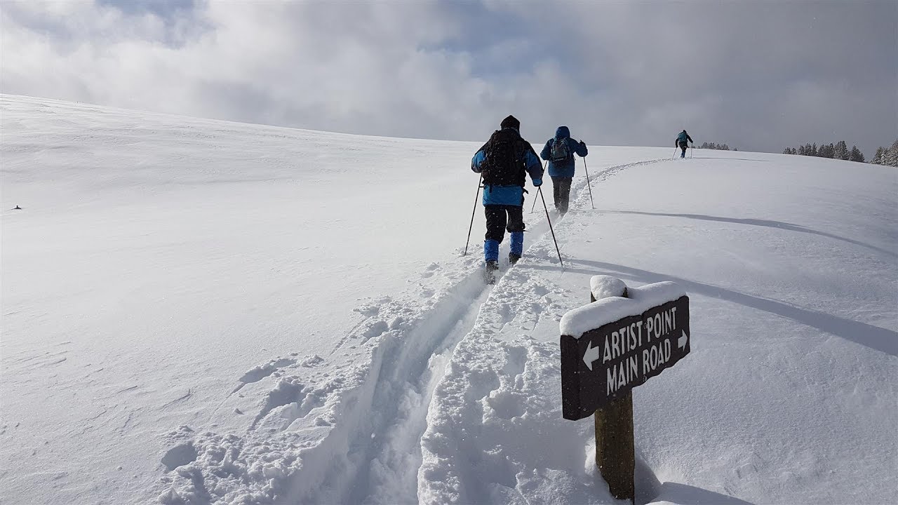 Skiing Yellowstone National Park Feb 2019