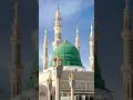 wo mera nabi hai #terding #viralnaat #islamicvideo #shorts #womeranabihai