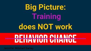 Big picture: the transfer of training / learning & behavior change
