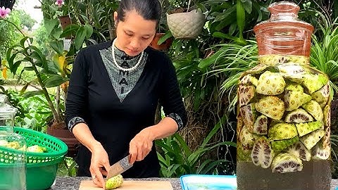 Cách Ngâm Rượu Trái Nhàu Tươi | Trái Nhàu Ngâm Rượu Có Tác Dụng Gì?