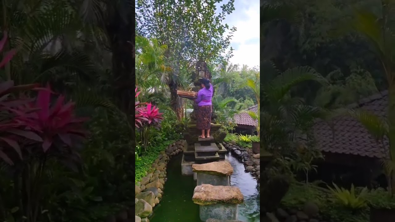 Bali. Ubud #travel #bali