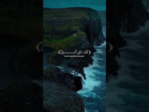 ٣٠ يونيو ٢٠٢٥