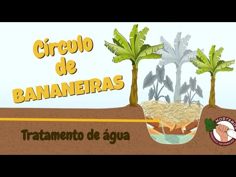 Vídeo: Zona 8 Bananeiras - Como escolher bananeiras para jardins da Zona 8