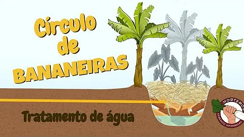 O que determina o espaçamento de plantio de um bananal?