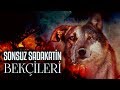 Sonsuz Sadakatin Bekçileri: Köpekler