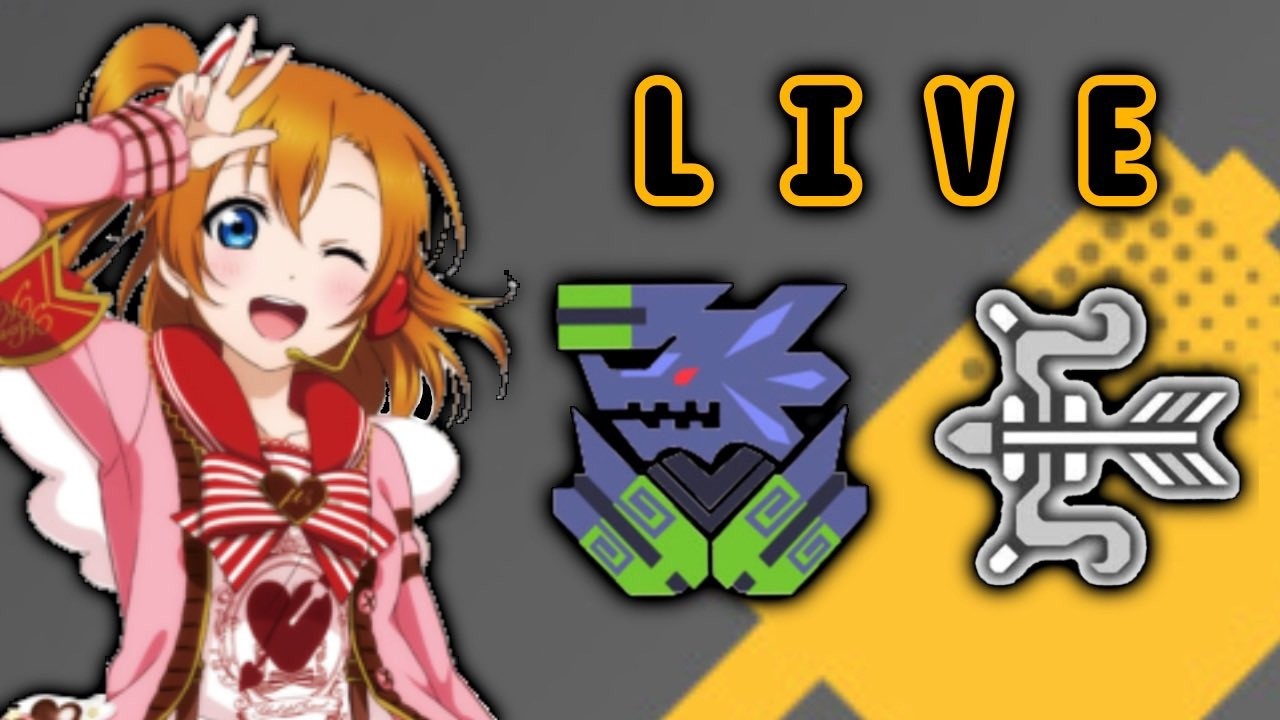 【mh3g】不屈イクサ練習