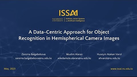 A Data-Centric Approach for Object Recognition in Hemispherical Camera Images