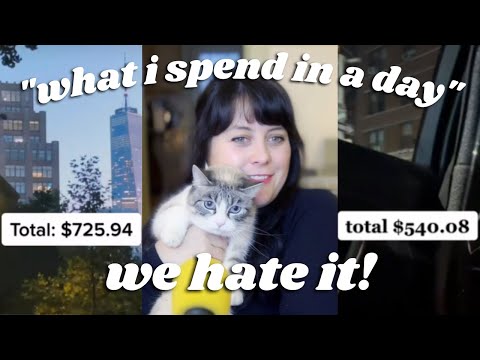 "what i spend in a day" tiktoks bother me