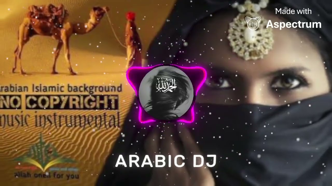 Arabic DJ (Official song) by musician 