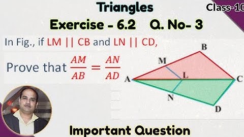 Class - 10th, Ex - 6.2, Q 3 (Triangles) Maths NCERT CBSE | In Fig LM || CB and LN || CD.