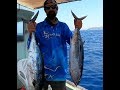 טונות אלבקור ושחורות. black and big aye tuna fishing