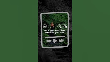 قرآن كريم بصوت خاشع ❤🌿 | حالات واتس اب دينية قصيرة  بصوت انس الشهاب  🎧💙