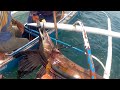 Jackpot! 2 Big Sailfish! Sobrang Swerte! Dalawang magkasunod na Huli | Philippines Primitive Fishing