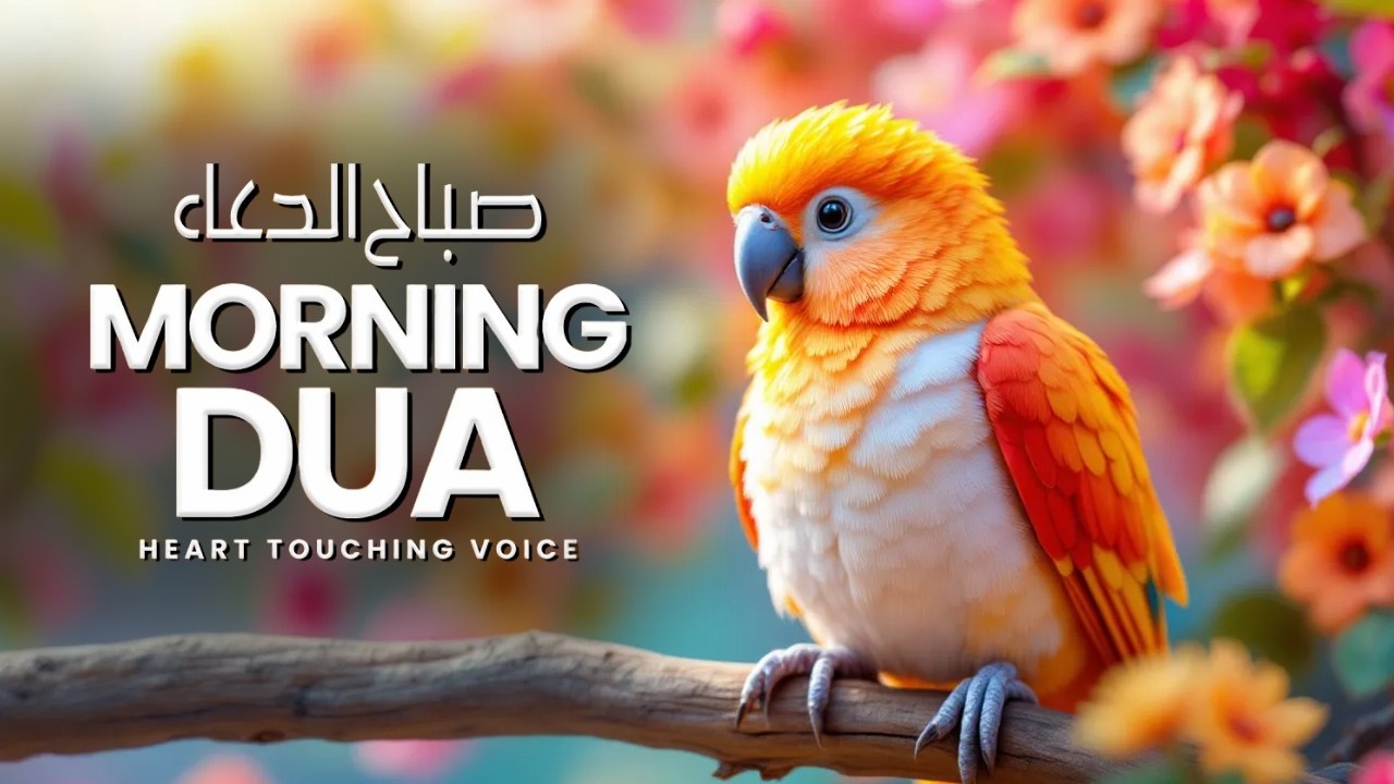 HEART TOUCHING MORNING DUA AND ADKHAR | For Protection| Blessings| Rizq | Tasbih || Omar Hisham