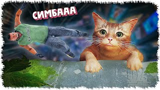 видео: Мен мысыққа айналып кеттім (Stray) картинка: Мен мысыққа айналып кеттім (Stray)