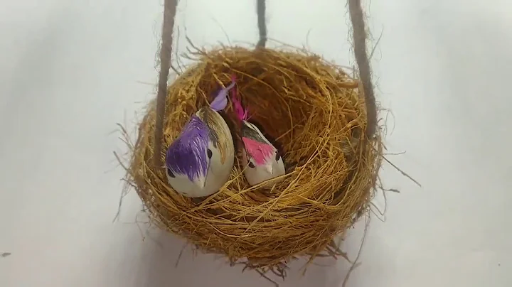 How to make a bird nest with coconut husk.