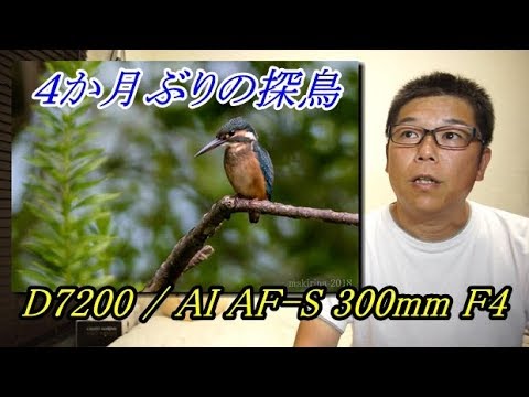 オールドデジカメ野鳥撮影】NIKON D200／TAMRON タムロン レンズ