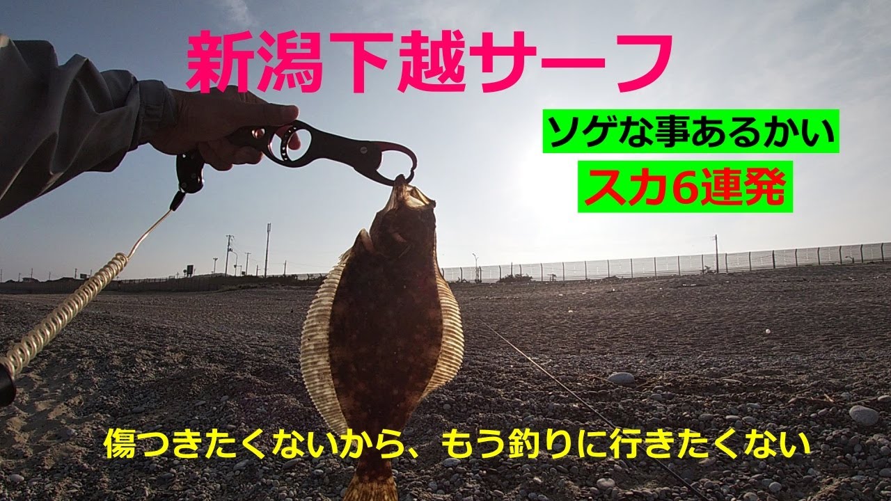 新潟下越サーフ フラット狙いでスカ6連発 でも ソゲ釣れた Youtube