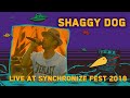 Gambar cover Shaggy Dog LIVE @ Synchronize Fest 2018