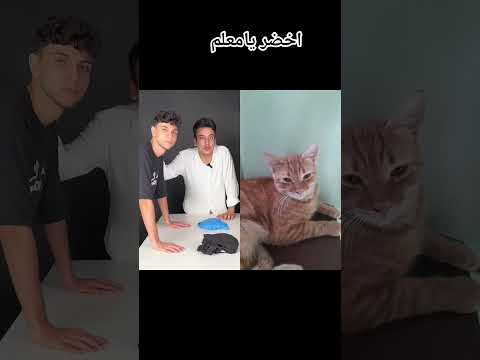 اجي ادخل المسابقه معاكوا ياكابتن ههههههه اضحك معانا وفرفش ودوس اشتراك