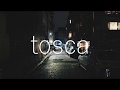 tosca - やわらかねこ(Cover) / いゔどっと