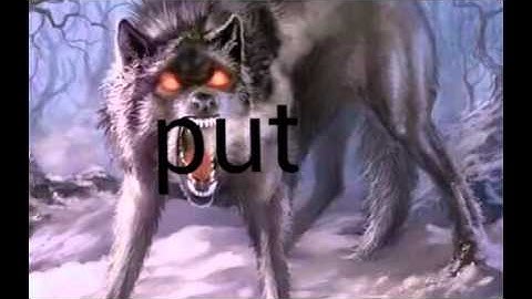 how to put pictures in your code shop