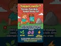 “Yaşam nedir?” Sorusu Sanıldığı Kadar Kolay mı? #yaşam #köpek #canlı #cansız #bilim #enerji
