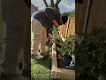 How to create a Flower beds 🌸🌺🌷💐