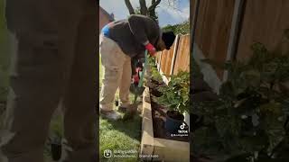 How to create a Flower beds 🌸🌺🌷💐