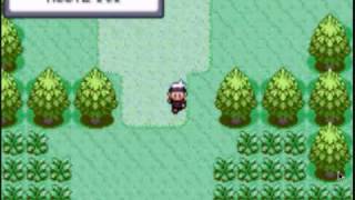 Pokemon Sapphire Version Walthrough Part 2