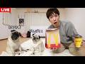 🔴マクドナルド新メニュー発売開始!!買ってくるのでお留守番LIVE