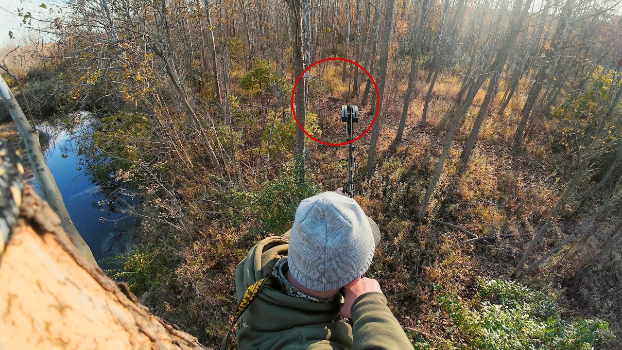 Mature Buck Comes To 15 Yards and THIS HAPPENS!