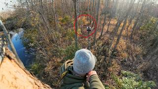 Mature Buck Comes To 15 Yards and THIS HAPPENS!